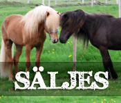 Säljes