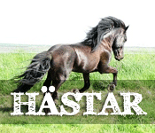 Våra hästar