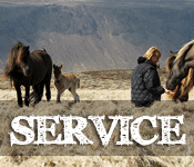 Service